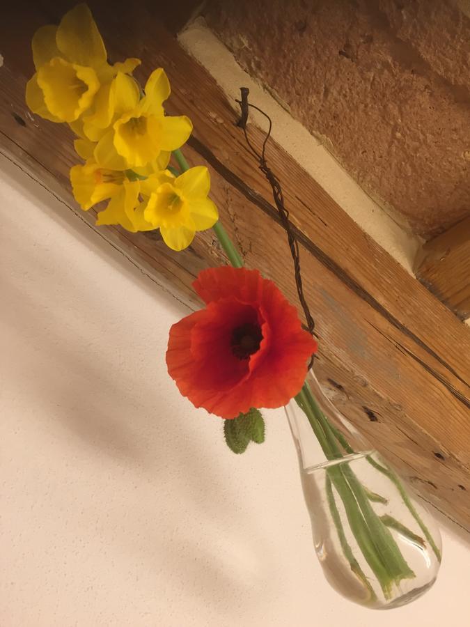 Tabano Ristorante-Casolare Bed and Breakfast Iesi Εξωτερικό φωτογραφία